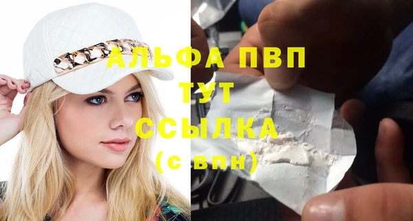 дживик Майский