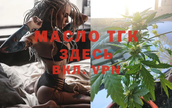дживик Майский