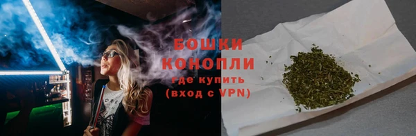 дживик Майский