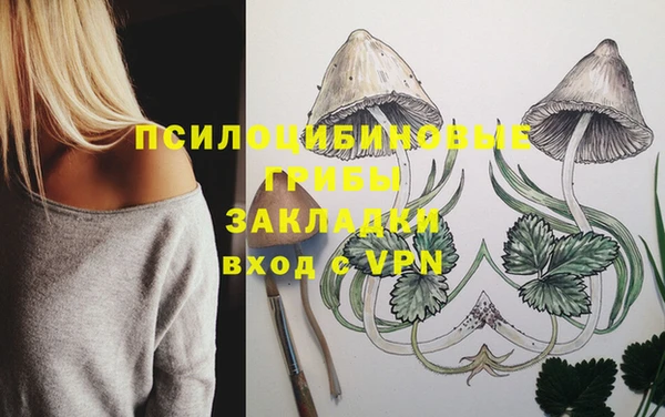 дживик Майский