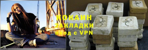 дживик Майский