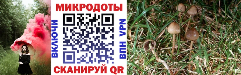 Псилоцибиновые грибы ЛСД  Ухта 